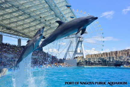 名古屋港水族館法人サポーター